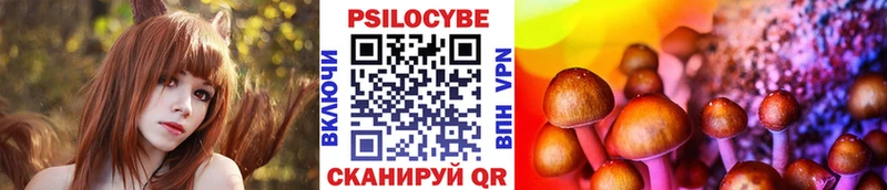 Галлюциногенные грибы Cubensis  Назарово 